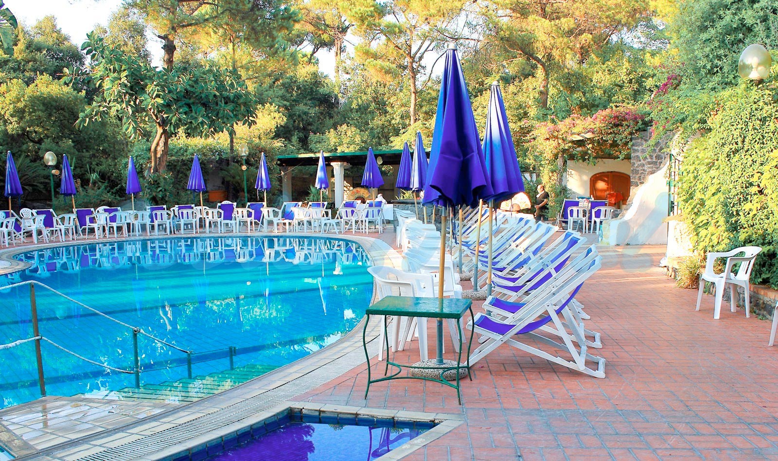 pool-hotel-pineta-ischia-5